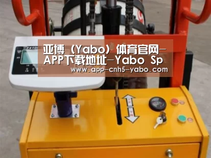 亚博案例展示三