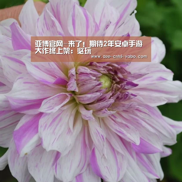 亚博官网