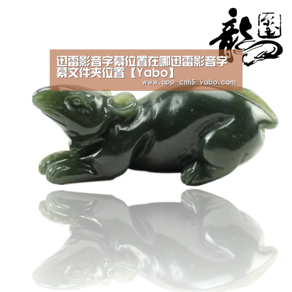迅雷影音字幕位置在哪迅雷影音字幕文件夹位置【Yabo】(图1)