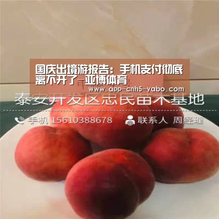 国庆出境游报告:手机支付彻底离不开了-亚博体育(图3) 亚博官网