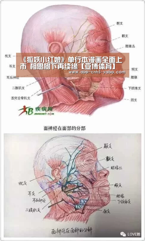 《狐妖小红娘》单行本漫画全面上市 相思树下再续缘【亚博体育】(图4) 亚博官网