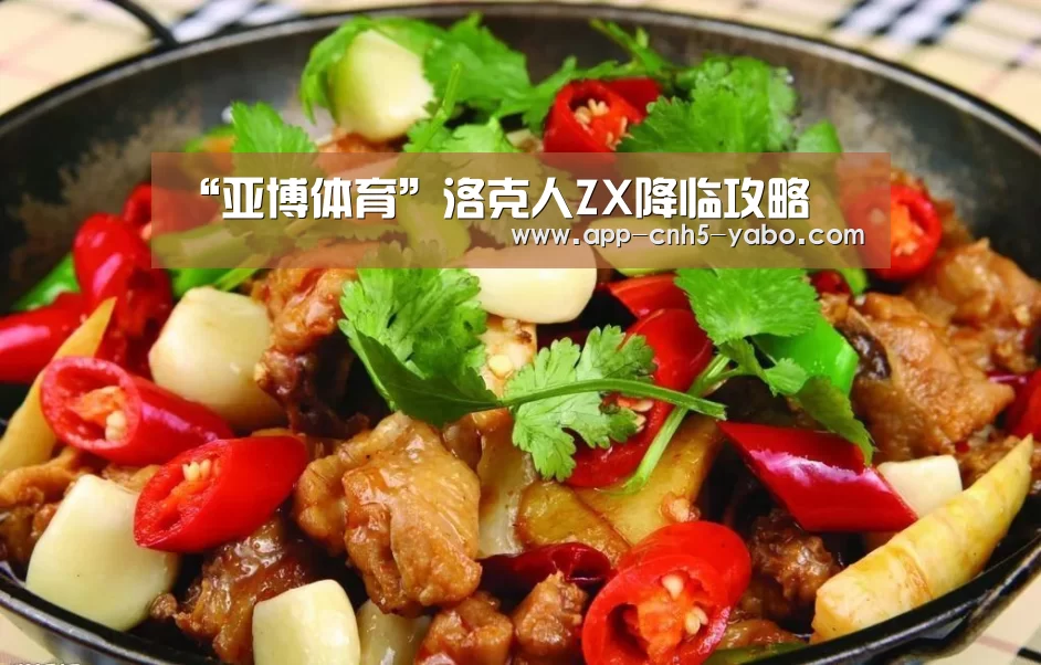“亚博体育”洛克人ZX降临攻略(图1)