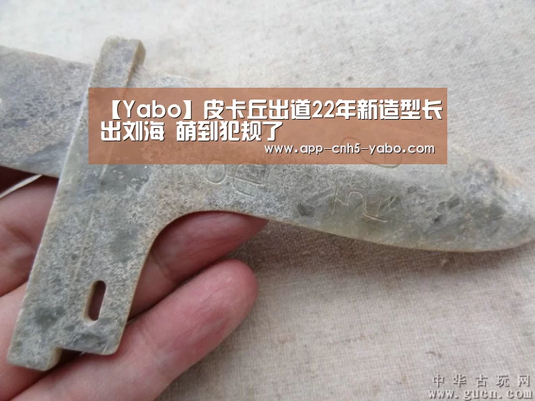 【Yabo】皮卡丘出道22年新造型长出刘海 萌到犯规了(图2) 亚博体育