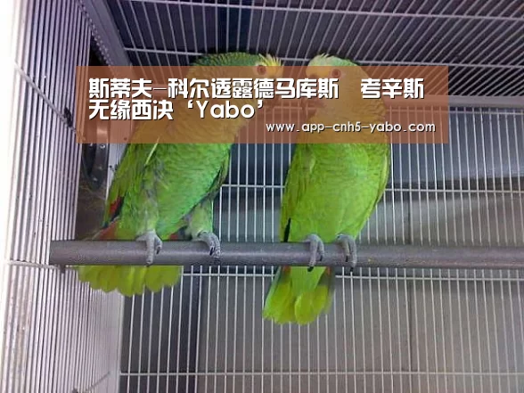斯蒂夫-科尔透露德马库斯•考辛斯无缘西决‘Yabo’(图2) 亚博官网