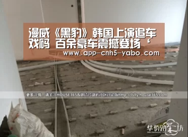 漫威《黑豹》韩国上演追车戏码 百余豪车震撼登场‘亚博’(图2) 亚博官网