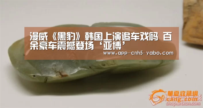 漫威《黑豹》韩国上演追车戏码 百余豪车震撼登场‘亚博’(图1) 亚博官网