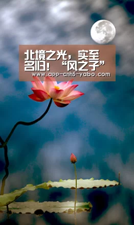 北境之光,实至名归!“风之子”纳什入选2020加拿大体育名人堂_Yabo(图1) 亚博官网
